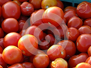 Tomato cherrytomato