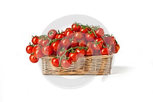 Tomato `ciliegino` still isolated photo
