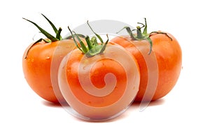 Tomato closeup on white background