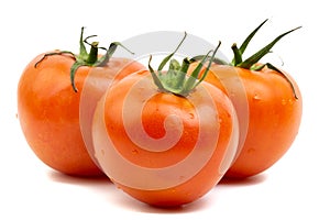 Tomato closeup on white background