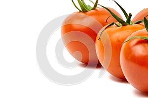 Tomato closeup on white background