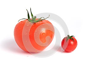 Tomato comparison