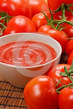 Tomato cream dish and fresh tomatoes.