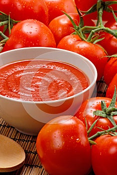 Tomato cream dish and fresh tomatoes ingredients.