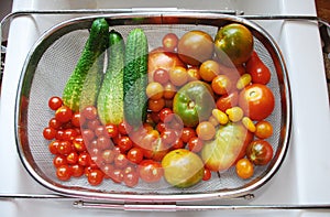 Tomato and Cucumber Harvest in Kitchen Sink