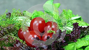 Tomato, cucumber, lettuce and dill vegetables. turntable counterclockwise