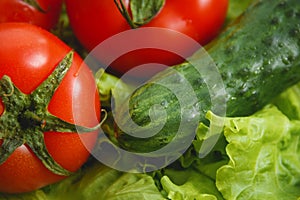 Tomato, cucumber vegetable and salad. Health care food