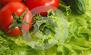 Tomato, cucumber vegetable and salad. Health care food