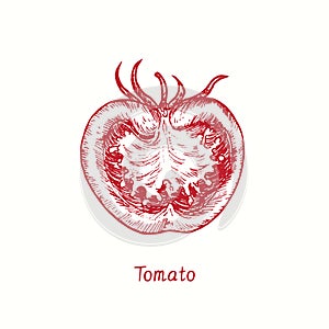 Tomato cut half. Ink black and white doodle drawing