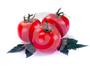 Tomato in cut with leaf for packaging and label.