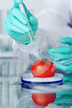 Tomato DNA change