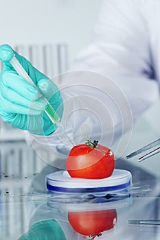 Tomato DNA change