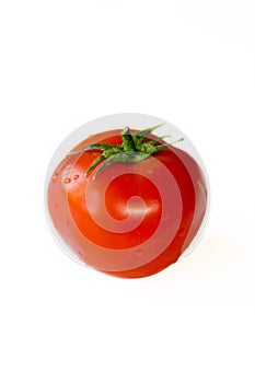 Tomato with drops