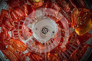 Tomato drying process in a food dehydrator.