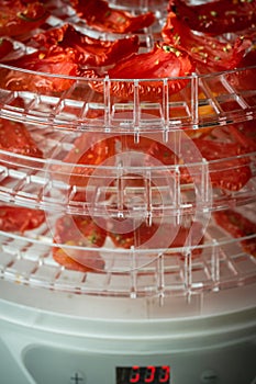 Tomato drying process in a food dehydrator.