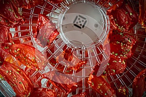 Tomato drying process in a food dehydrator