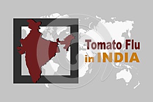 Tomato flu in India with an Indian map on the world map background. Healthcare Infographic