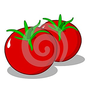 Tomato Fresh Asian Tropical Vector Illustration