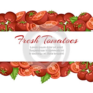 Tomato fresh farm vegetables cartoon vector illustration with isolated tomatoe, sliced piece vegetables on branch.
