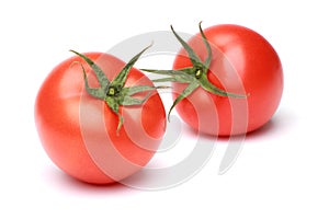 Tomato photo