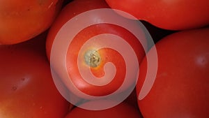 Tomato
