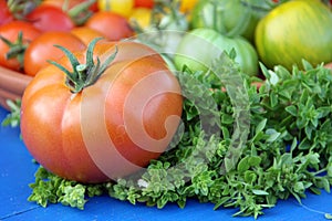 Tomato fruit and basil