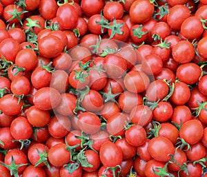 Tomato fruits at the market in Taichung, Taiwan