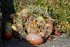 Tomato fruits rotten, moulded or otherwise damaged together stems, leaves and the rest of the plants.