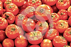 Tomato get sold