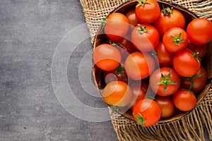Tomato on the gray background