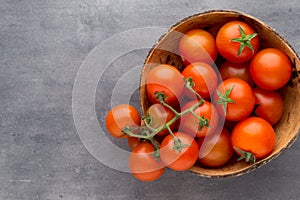 Tomato on the gray background