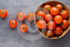 Tomato on the gray background.