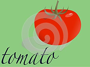 tomato on green background