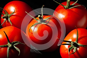 tomato group on wood