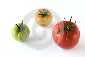 Tomato growing up showing progress with leafs set isolated on white background. Health Concept