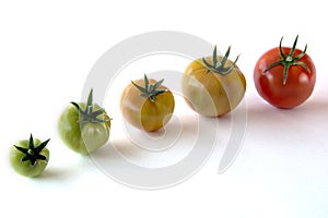 Tomato growing up showing progress set isolated on white background. Health Concept