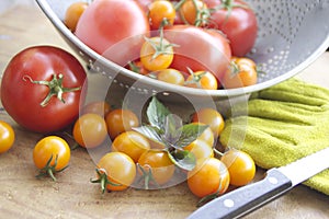 Tomato Harvest