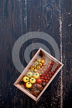 Tomato harvest box