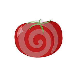 Tomato icon in flat style. Isolated object. Tomato logo. Vegetable from the farm. Organic food. Vector illustration