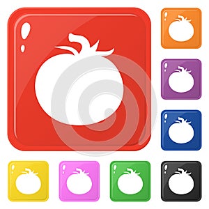 Tomato icons set 8 colors isolated on white. Collection of glossy square colorful buttons. Vector illustration for any design