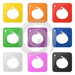 Tomato icons set 9 colors isolated on white. Collection of glossy square colorful buttons. Vector illustration for any design