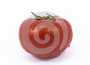 A tomato ina white background
