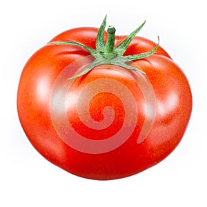 Tomato isolated on white