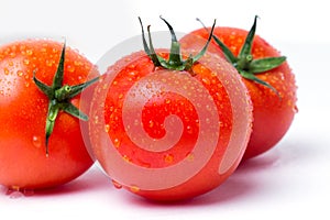 Tomato in isolated white background