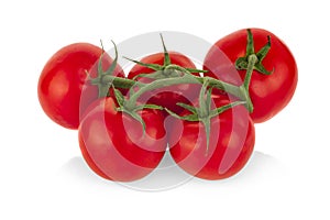 Tomatos isolated on white background photo