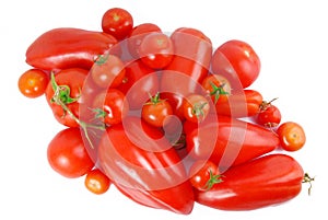 tomato isolated on white photo