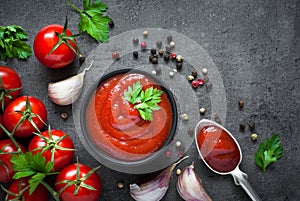 Tomato ketchup sauce