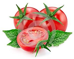 Tomato leaves isolated on white background