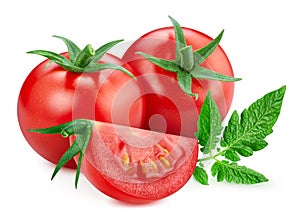 Tomato leaves isolated on white background