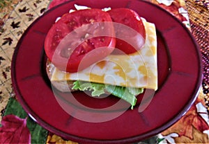 Tomato Lettuce and Cheese Sandwich on a Red Plate